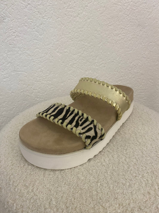 Zebra Schlappen